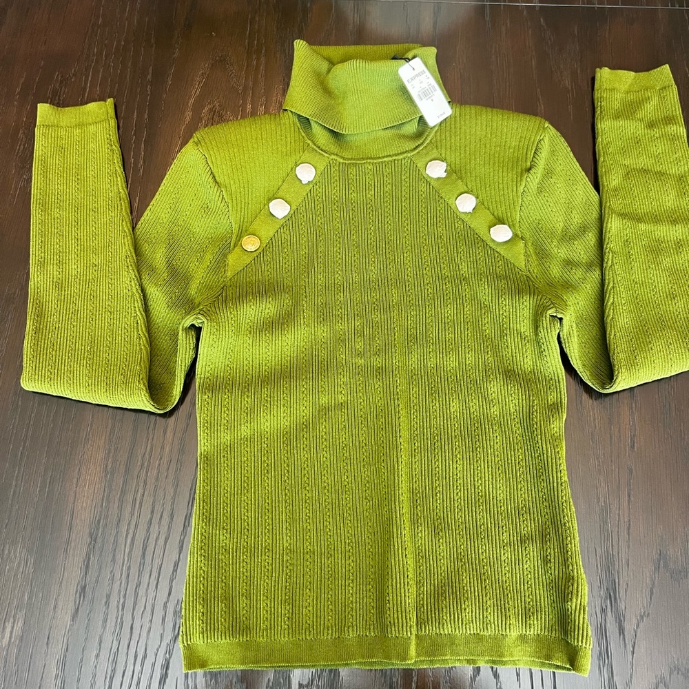 EXPRESS Turtleneck Sweater